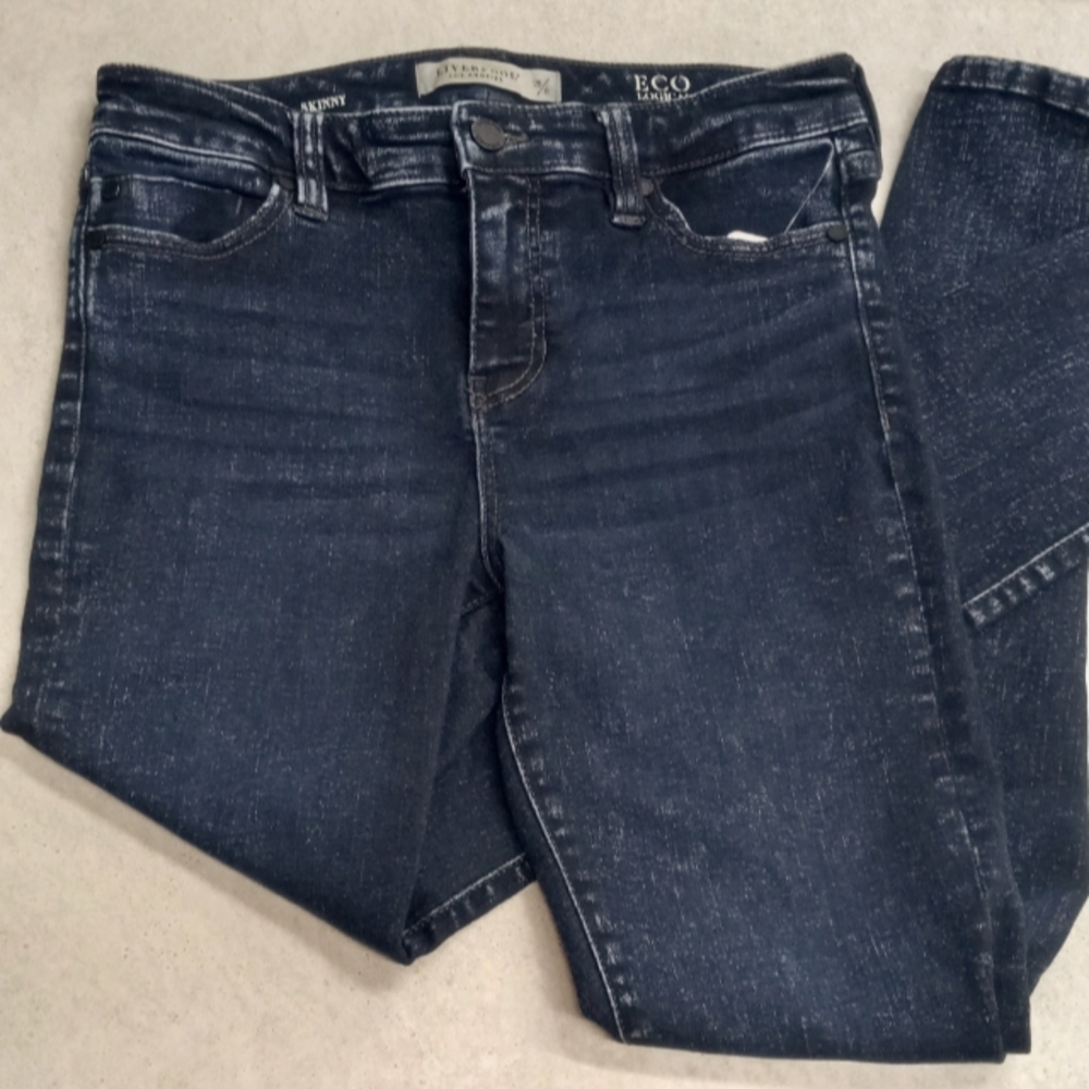 LIVERPOOL Los Angeles Skinny Jeans Women's Size 28/6